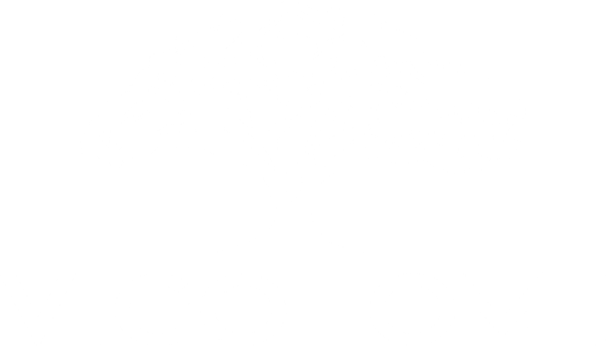 VIGOHOME logo in white — one-stop building material supplier in Foshan, China