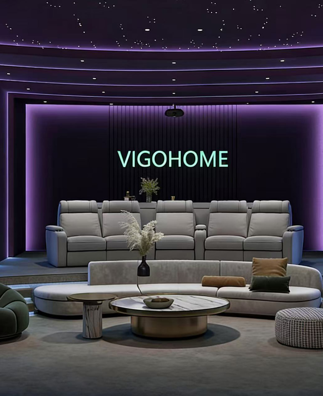 Audio & Video Equipment — VIGOHOME project gallery, Foshan, China